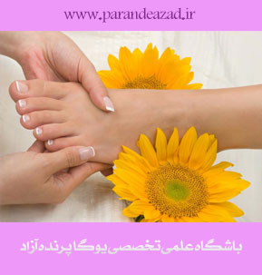,yoga,یوگا,یوگا کرج,یوگا استان البرز,کلاس یوگا,مرکز تخصصی یوگا,باشگاه نمونه یوگا,رفلکسولوژی,بازتاب درمانی,بازتاب شناسی,درمانهای شفابخض,طب کل نگر,درمانهای نامتعارف,باشگاه تخصصی یوگا پرنده آزاد کرج, ,yoga,یوگا,یوگا کرج,یوگا استان البرز,کلاس یوگا,مرکز تخصصی یوگا,باشگاه نمونه یوگا,رفلکسولوژی,بازتاب درمانی,بازتاب شناسی,درمانهای شفابخض,طب کل نگر,درمانهای نامتعارف,باشگاه تخصصی یوگا پرنده آزاد کرج,